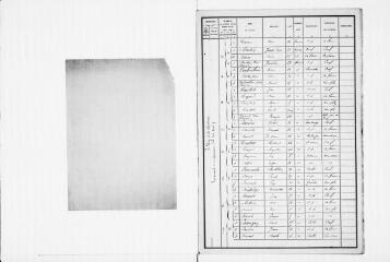 19 vues Commune de Lavelanet-de-Comminges. 1 F 2.4 : recensement de la population, 1896