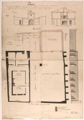 1 vue Plan d'une partie et dépendances de la maison des héritiers Lupiac dans la ville de Miremont avec projet de construction de halle, mairie et autres salles nécessaires aux archives et conseil, plan, élévation, coupe. Picquié. 27 février 1853. Ech. 1/100.