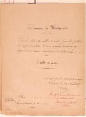 3 vues Commune de Miremont, construction de salles d'école pour les filles et appropriation d'une maison destinée au logement des s?urs directrices de cette école, plan général, plans du rez-de-chaussée et du 1er étage, élévation, coupe. D?Aure, architecte. 24 avril 1875. Ech. 1/2500 et 0,01 et 0,02 p.m.