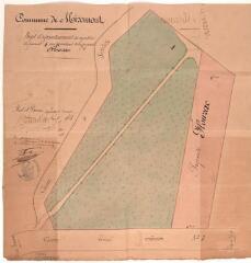 1 vue Commune de Miremont, projet d'agrandissement du cimetière. Joseph Marty, agent voyer cantonal. 20 août 1868. Ech. n.d.