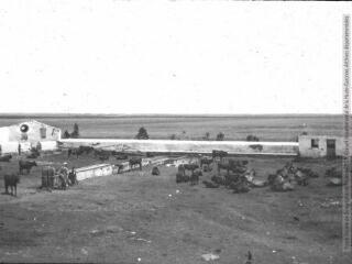 8 vues Boîte 172. Tanger. Scènes de vie quotidienne. - Photographies.