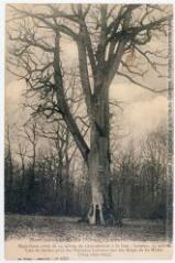2 vues Martigny-les-Bains (Vosges) : le chêne des partisans. - 30 mai 1915. - Carte postale