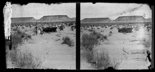 4 vues 12. Cependant les sables se présentent à nouveau où croissent en abondance des touffes de drinn. Après avoir creusé de profondes ornières, la voiture est encore arrêtée. Dans le fond du paysage, des montagnes de forme tabulaire.