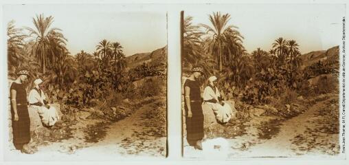 2 vues 26. Bou Saâda : un coin de l'oasis. - entre le 23 décembre 1924 et le 3 janvier 1925