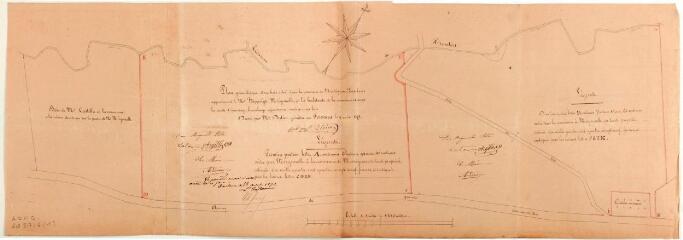 1 vue Plan géométrique d'un bois situé dans la commune de Marignac-Lasclares, appartenant à M. Hippolyte Miégemolle, où les habitants de la commune exercent des droits d'émondage, branchage, dépaissance et mort bois. Dedieu, géomètre. 9 août 1872. Ech. 1/1250.