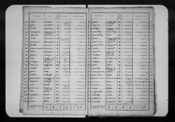 14 vues Commune d'Alan. 1 F 1.1 : listes nominatives de la population, an X