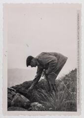 2 vues - Herborisation dans les Pyrénées : prélèvement par un botaniste. - années 1930-1940. - Photographie (ouvre la visionneuse)