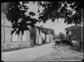 1 vue [Ondes : rue de Castelnau]. - Toulouse : édition Labouche frères, [entre 1920 et 1950]. - Photographie