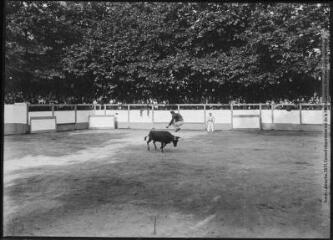 3 vues - [Les arènes pendant une course landaise : un saut]. - Toulouse : édition Labouche frères, [entre 1920 et 1950]. - Photographie (ouvre la visionneuse)