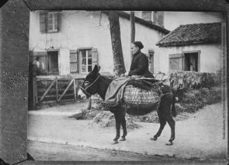 1 vue Types basques. 15. Basquaise à cacolet revenant du marché. - Toulouse : édition Labouche frères, [entre 1920 et 1950]. - Photographie