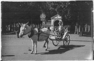 1 vue Tableaux pyrénéens. 66. Luchon [Bagnères-de-Luchon] : une petite voiture à âne. - Toulouse : édition Labouche frères, [entre 1920 et 1950]. - Photographie