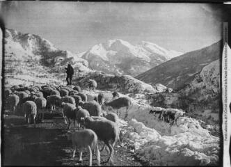 1 vue Tableaux pyrénéens. 1208. Paysage d'hiver en montagne. - Toulouse : édition Labouche frères, [entre 1920 et 1950]. - Photographie