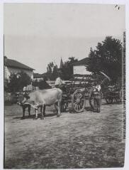 2 vues [Types pyrénéens. Retour des champs : les faucheurs]. - Toulouse : maison Labouche frères, [entre 1900 et 1920]. - Photographie