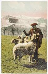 3 vues Tableaux pyrénéens. 1312. Pâtre en montagne : le sel aux moutons. - Toulouse : éditions Pyrénées-Océan, Labouche frères, [entre 1937 et 1950]. - Carte postale
