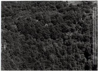 1 vue Environs de Durfort (Tarn) : vallée du Sor : massif boisé, forêt de l'Aiguille / Jean Quéguiner photogr. - Juillet 1976. - Photographie