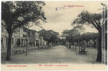 1 vue La Haute-Garonne. 868. Rieumes : la promenade. - Toulouse : phototypie Labouche frères, marque LF au verso, [1917], tampon d'édition du 19 mai 1918. - Carte postale