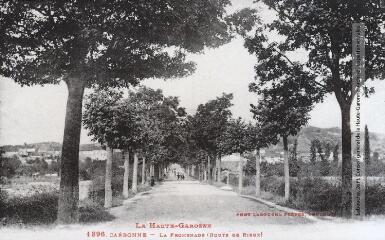 2 vues La Haute-Garonne. 1396. Carbonne : la promenade (route de Rieux). - Toulouse : phototypie Labouche frères, marque LF au verso, [1930]. - Carte postale