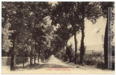 1 vue La Haute-Garonne. Mane : avenue de Mane. - Toulouse : phototypie Labouche frères, marque LF au verso, [1930]. - Carte postale
