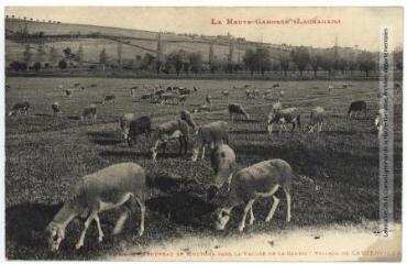 2 vues La Haute-Garonne (Lauragais). 894. Un troupeau de moutons dans la vallée de la Sauno [i.e. Saune], village de Lauzerville. - Toulouse : phototypie Labouche frères, marque LF au verso, [1911]. - Carte postale