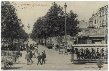 2 vues 129. Toulouse : l'allée Lafayette. - Toulouse : papeterie générale, marque LF au verso, [1905]. - Carte postale