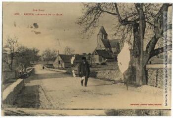 1 vue Le Lot. 260. Assier : avenue de la gare. - Toulouse : phototypie Labouche frères, [entre 1905 et 1925]. - Carte postale