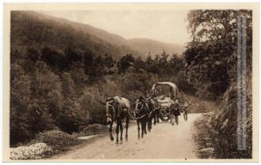 2 vues Types basques. 1. Attelage de mules dans la montagne basque. - Toulouse : phototypie Labouche frères, [entre 1905 et 1937]. - Carte postale