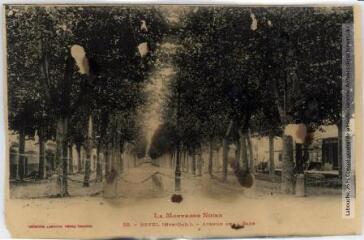1 vue La Montagne Noire. 58. Revel (Haute-Garonne) : avenue de la gare. - Toulouse : phototypie Labouche frères, marque LF au recto, [entre 1909 et 1925]. - Carte postale