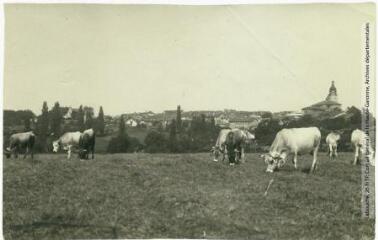 2 vues Le Gers. 386. Aignan : vue du village : les pâturages. - Toulouse : maison Labouche frères, [entre 1900 et 1940]. - Photographie