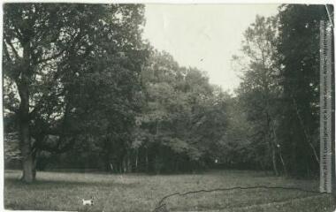 2 vues Château d'Avensac (Gers) : le parc / photographie Henri Jansou (1874-1966). - Toulouse : maison Labouche frères, [entre 1900 et 1940]. - Photographie