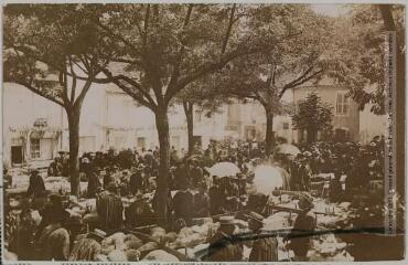 2 vues Lot. 109. Gramat : marché aux moutons sur la place de la Mairie. - Toulouse : maison Labouche frères, [entre 1900 et 1920]. - Photographie