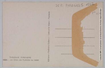 2 vues Tableaux pyrénéens. 1024. Un chien des Pyrénées au repos. - Toulouse : éditions Pyrénées-Océan, Labouche frères, marque Elfe, [entre 1937 et 1950]. - Carte postale