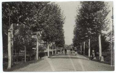 3 vues La Haute-Garonne. 275. Pinsaguel : avenue d'Auterive. - Toulouse : phototypie Labouche frères, marque LF au verso, [1918]. - Carte postale