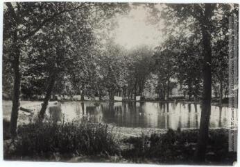 3 vues La Montagne Noire. 327. Revel (Haute-Garonne) : bassin de la Gravière. -Toulouse : phototypie Labouche frères, marque LF au verso, [entre 1909 et 1925]. - Carte postale