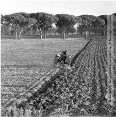 2 vues Environs de Toulouse : labours (tracteur) / Jean Ribière photogr. - [entre 1960 et 1970]. - 2 photographies