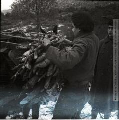 4 vues Saint-Paul-de-Fenouillet (Pyrénées-Orientales) : chantier de jeunesse : chargement et transport du bois à dos d'âne / Jean Ribière photogr. - 1942. - 4 photographies