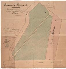 1 vue Commune de Miremont, projet d'agrandissement du cimetière. Joseph Marty, agent voyer cantonal. 20 août 1868. Ech. n.d.