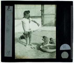 1 vue 3. [Sfax : station zoologique : le fils de Jean Thomas, Pierre, au milieu des singes (magots)]. - [mi-août 1927].