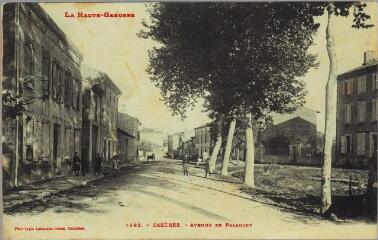 1 vue La Haute-Garonne. 1582. Cazères : avenue de Palaminy. - Toulouse : Labouche frères, marque LF au verso, [entre 1905 et 1912]. - Carte postale